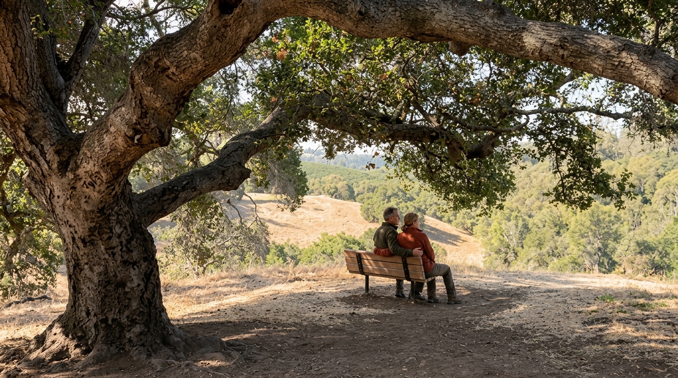 Westwood Hills Park in Napa County, California