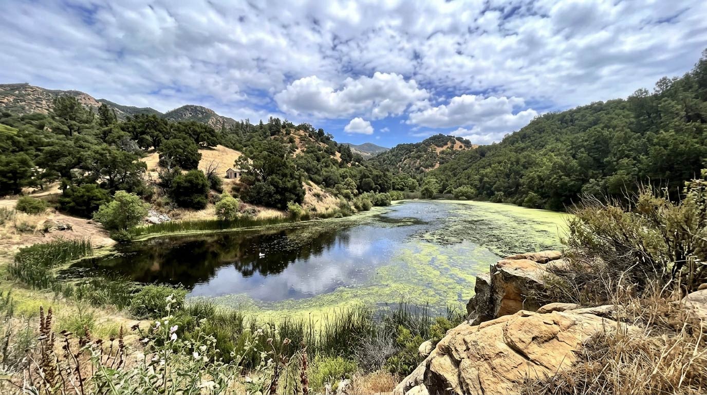 Skyline Wilderness Park — Lake Marie Loop in Napa County, California