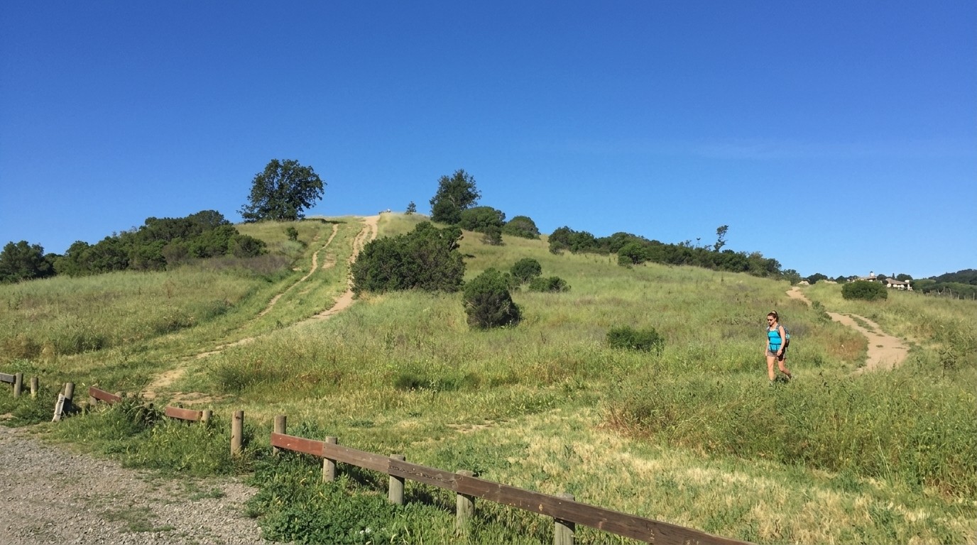 Alston Park in Napa County, California