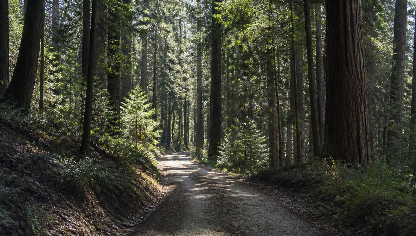 Las Posadas State Forest in Napa County, California